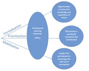 Illustrates the flow that PLNs work through. Processes that go into PLNs are on the left and the benefits/outcomes are on the right.