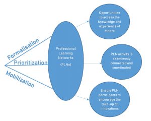 Illustrates the flow that PLNs work through. Processes that go into PLNs are on the left and the benefits/outcomes are on the right.